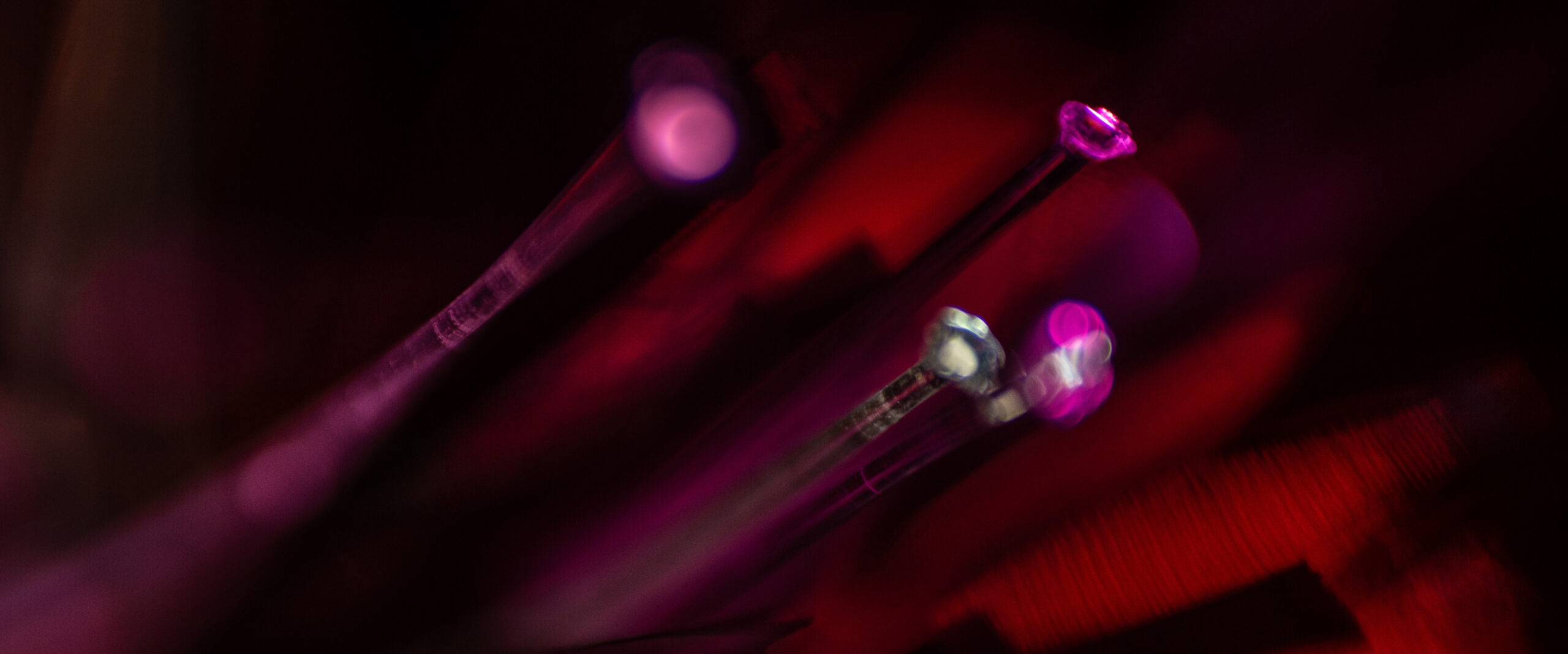 Banner showing an abstract macro photograph