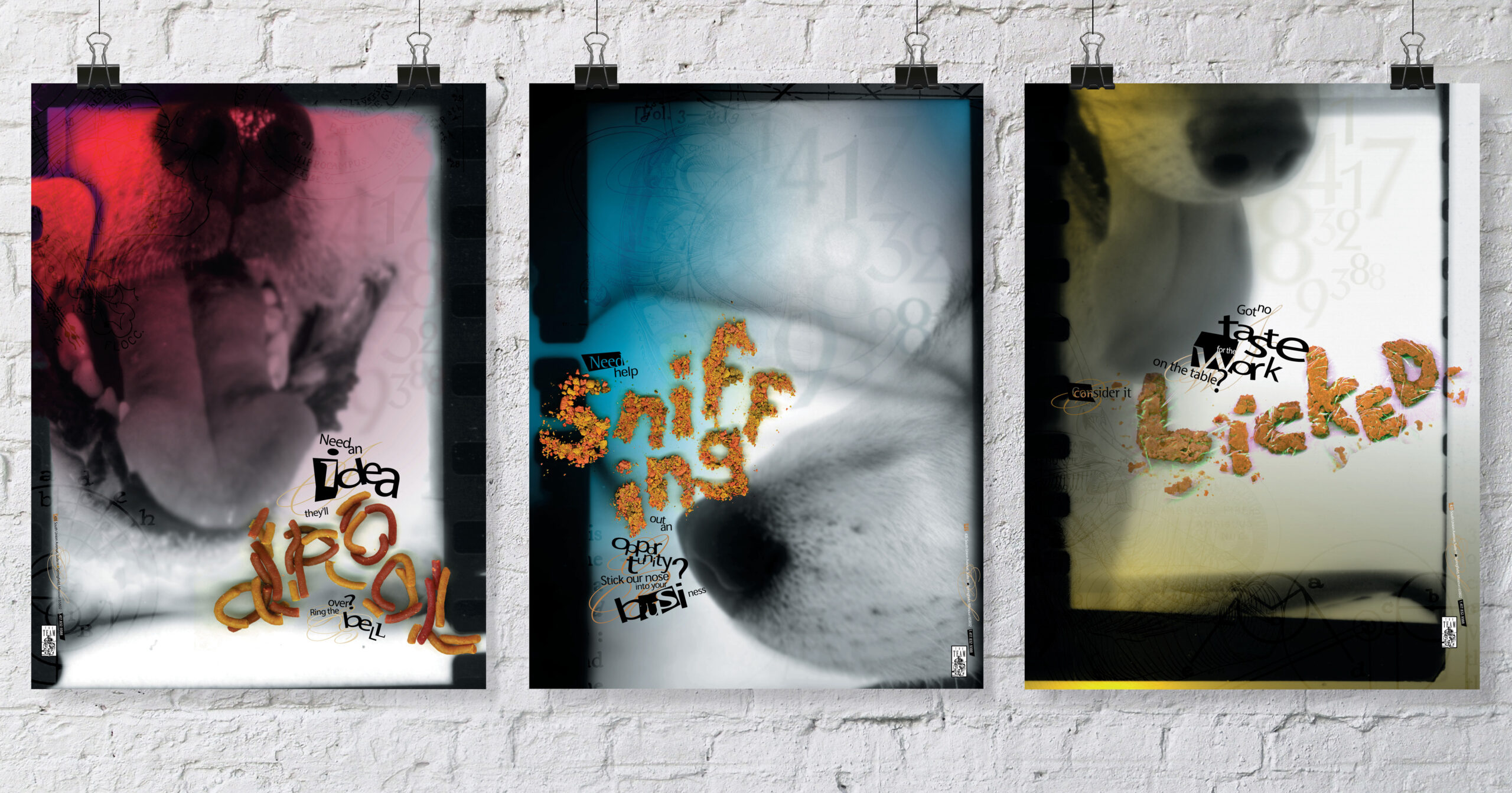 The Team promotional posters